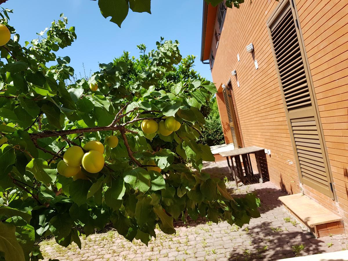 Сasa de vacaciones 